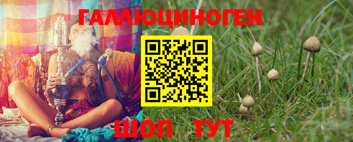 Галлюциногенные грибы GOLDEN TEACHER Дедовск